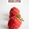Monoporcja Malina