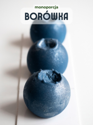 Monoporcja Borówka