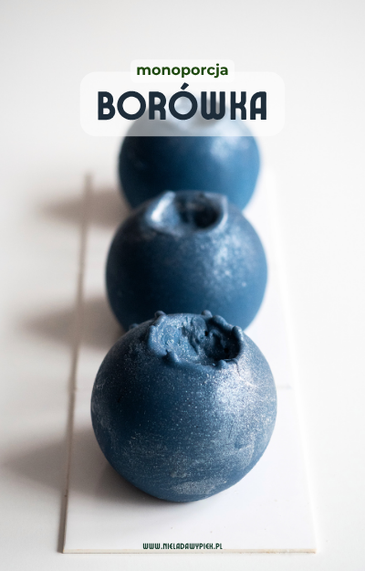 Monoporcja Borówka